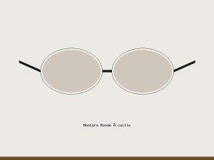 Monture Ronde Écaille