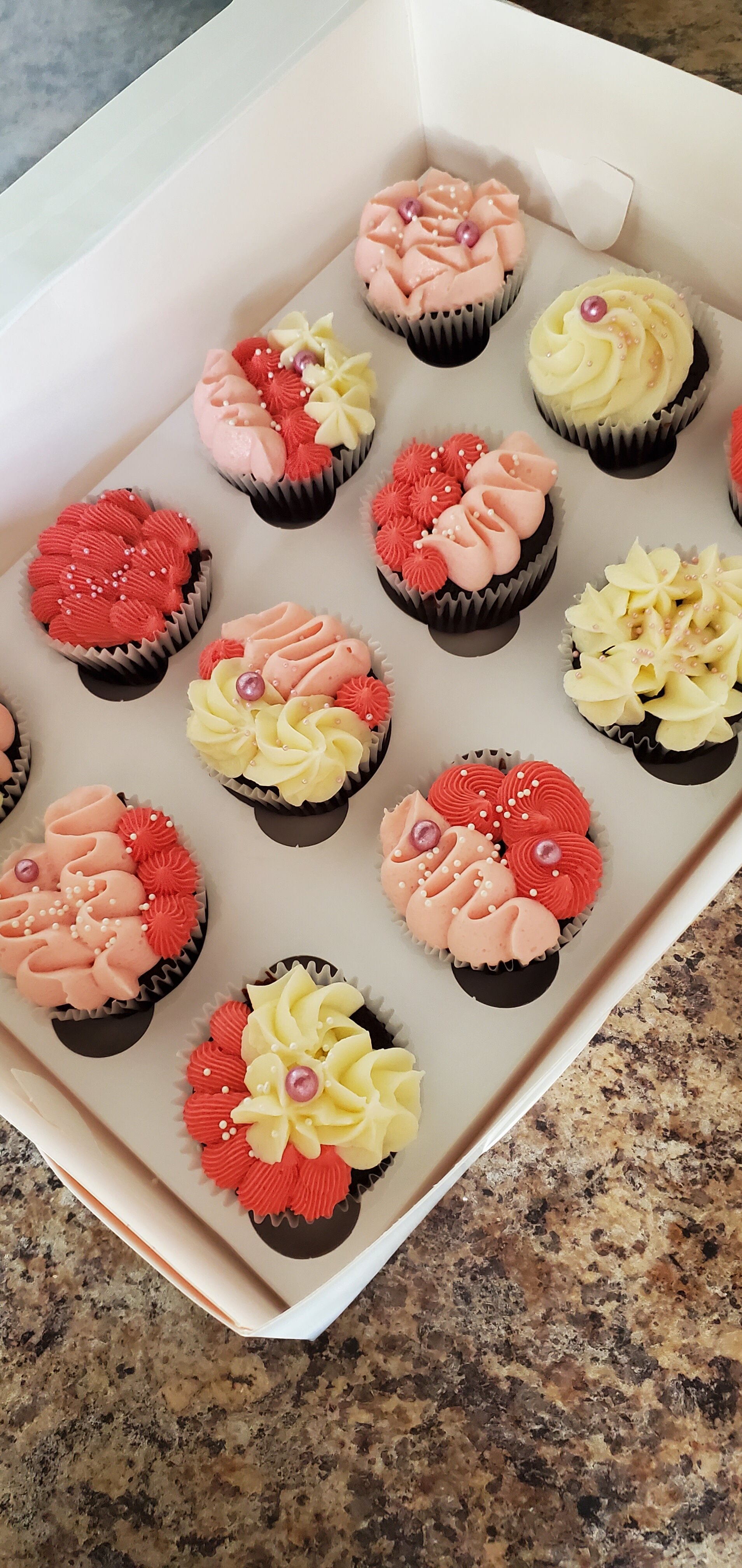 Cupcakes 3 Couleurs