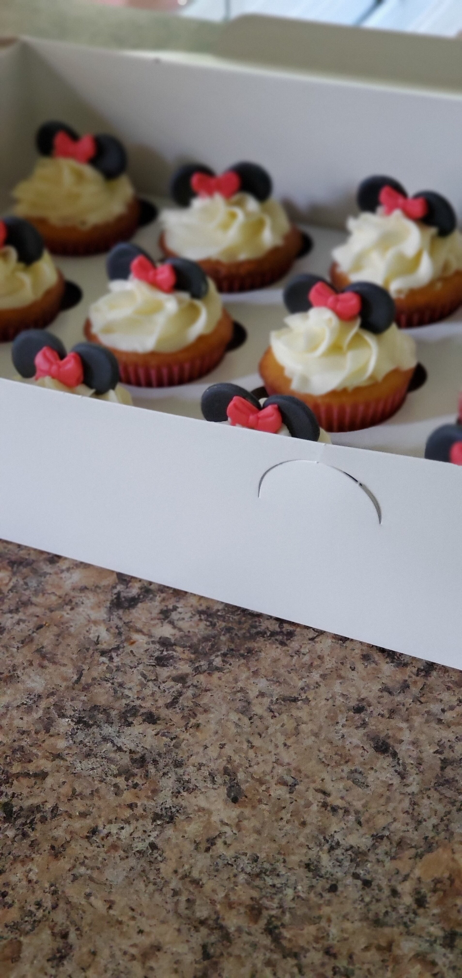 Cupcakes Minnie