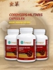 Longrich – Cordyceps Militaris (60 Gellules) 