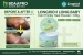 Longrich Long Baby – Poudre Bébé à l’Essence de Maïs 160 g