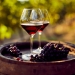 Longrich Vin Rouge – Ondes Rageuses