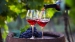 Longrich Vin Rouge – Ondes Rageuses