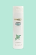 Longrich Cleansing & Treatment – Shampoing 2 en 1 Antipelliculaire – 300 ml