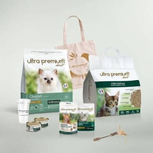 kit de démarrage nouveau bébé chaton