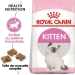 Croquettes Royal Canine Kitten pour chatons – 2 kg