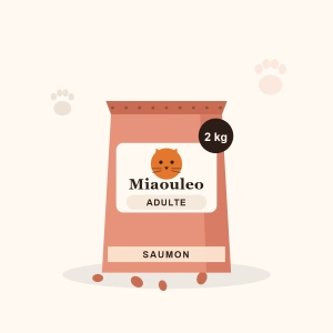 Croquettes Adulte Saumon 2 kg