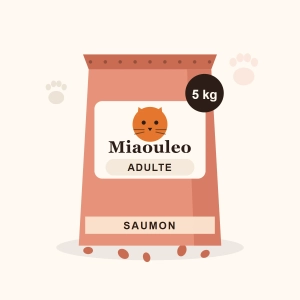 Croquettes Adulte Saumon 5 kg