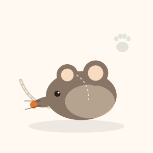 Jouet souris en peluche